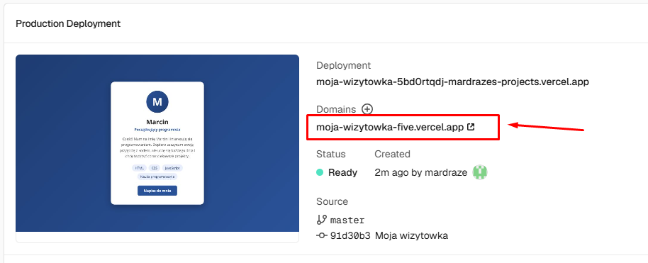 Vercel Project URL
